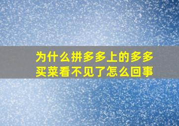 为什么拼多多上的多多买菜看不见了怎么回事