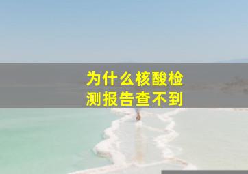 为什么核酸检测报告查不到