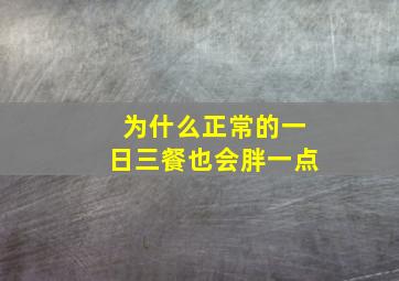 为什么正常的一日三餐也会胖一点