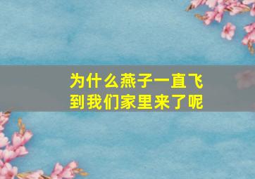 为什么燕子一直飞到我们家里来了呢