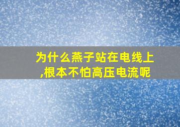 为什么燕子站在电线上,根本不怕高压电流呢