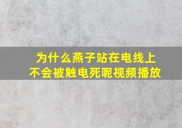 为什么燕子站在电线上不会被触电死呢视频播放