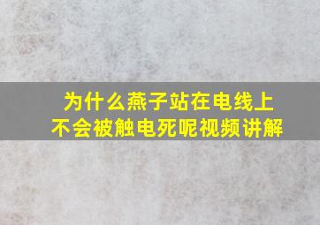 为什么燕子站在电线上不会被触电死呢视频讲解