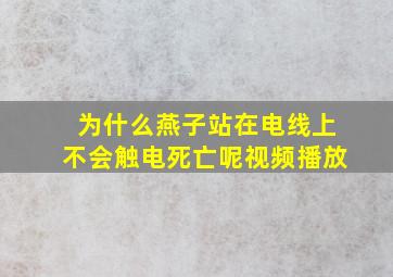 为什么燕子站在电线上不会触电死亡呢视频播放