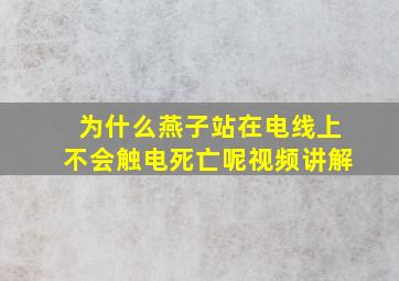 为什么燕子站在电线上不会触电死亡呢视频讲解