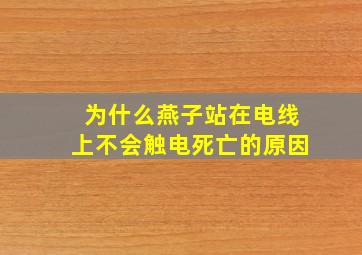 为什么燕子站在电线上不会触电死亡的原因