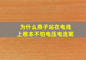 为什么燕子站在电线上根本不怕电压电流呢