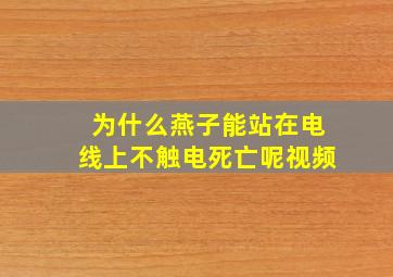 为什么燕子能站在电线上不触电死亡呢视频