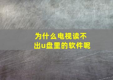 为什么电视读不出u盘里的软件呢