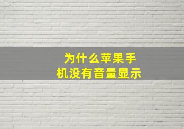 为什么苹果手机没有音量显示