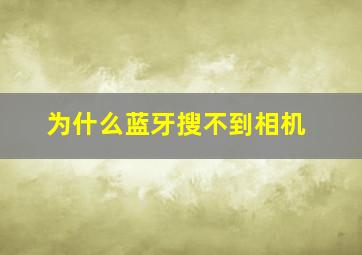 为什么蓝牙搜不到相机