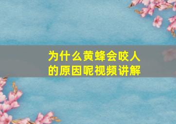 为什么黄蜂会咬人的原因呢视频讲解