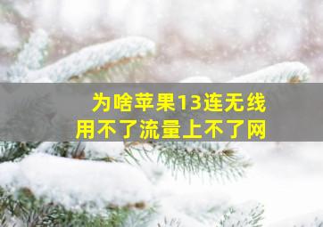 为啥苹果13连无线用不了流量上不了网