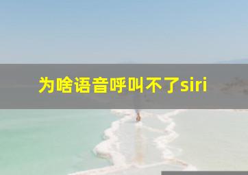 为啥语音呼叫不了siri