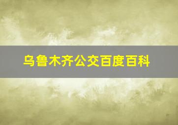 乌鲁木齐公交百度百科