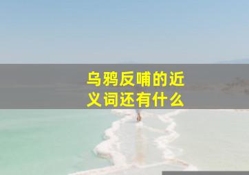 乌鸦反哺的近义词还有什么