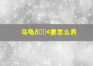 乌龟🐢要怎么养