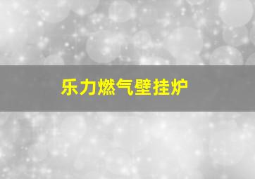 乐力燃气壁挂炉