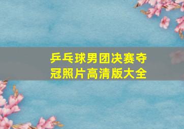 乒乓球男团决赛夺冠照片高清版大全