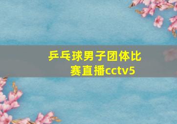 乒乓球男子团体比赛直播cctv5