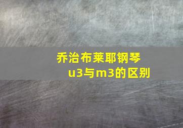 乔治布莱耶钢琴u3与m3的区别