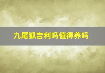 九尾狐吉利吗值得养吗