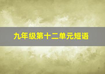 九年级第十二单元短语