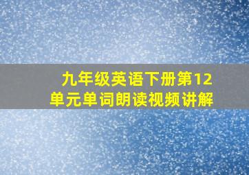 九年级英语下册第12单元单词朗读视频讲解