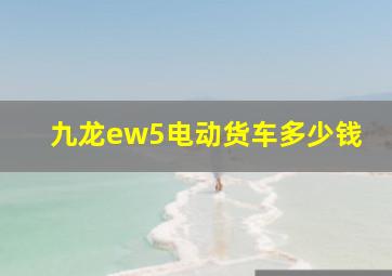 九龙ew5电动货车多少钱