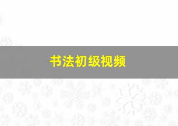 书法初级视频