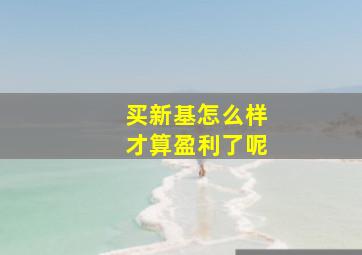 买新基怎么样才算盈利了呢