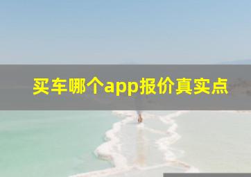 买车哪个app报价真实点