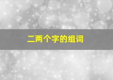 二两个字的组词