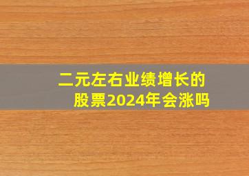 二元左右业绩增长的股票2024年会涨吗