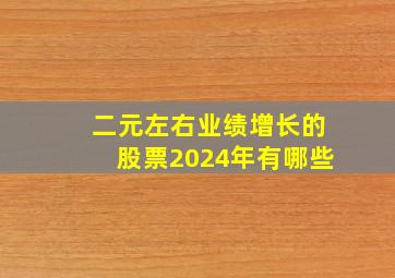 二元左右业绩增长的股票2024年有哪些