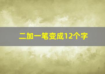 二加一笔变成12个字