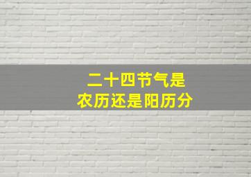 二十四节气是农历还是阳历分