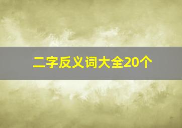 二字反义词大全20个