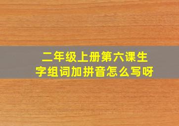 二年级上册第六课生字组词加拼音怎么写呀