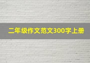 二年级作文范文300字上册