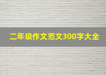 二年级作文范文300字大全