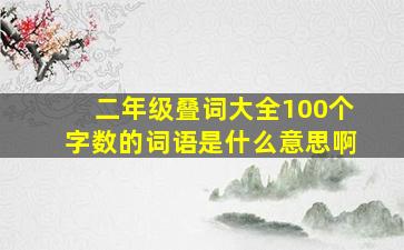 二年级叠词大全100个字数的词语是什么意思啊