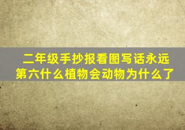 二年级手抄报看图写话永远第六什么植物会动物为什么了