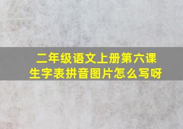 二年级语文上册第六课生字表拼音图片怎么写呀