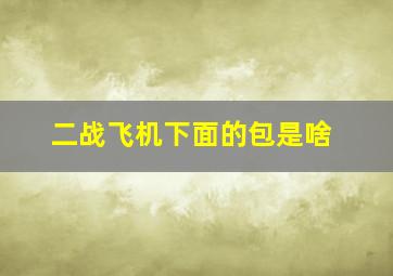 二战飞机下面的包是啥