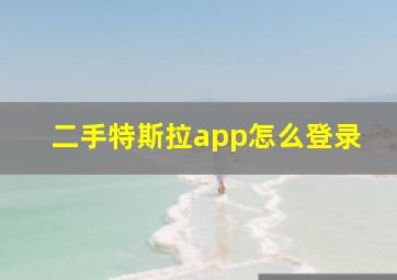 二手特斯拉app怎么登录