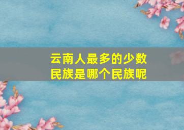 云南人最多的少数民族是哪个民族呢