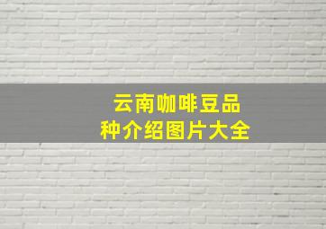 云南咖啡豆品种介绍图片大全