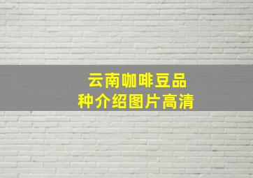 云南咖啡豆品种介绍图片高清