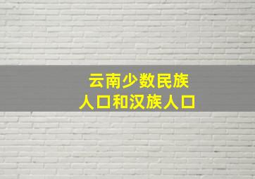 云南少数民族人口和汉族人口